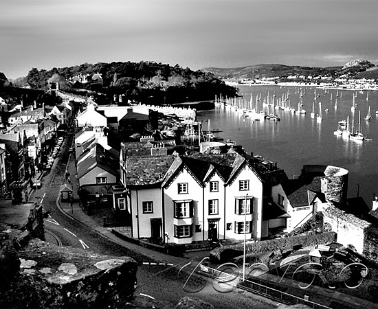 免费电话轰炸器